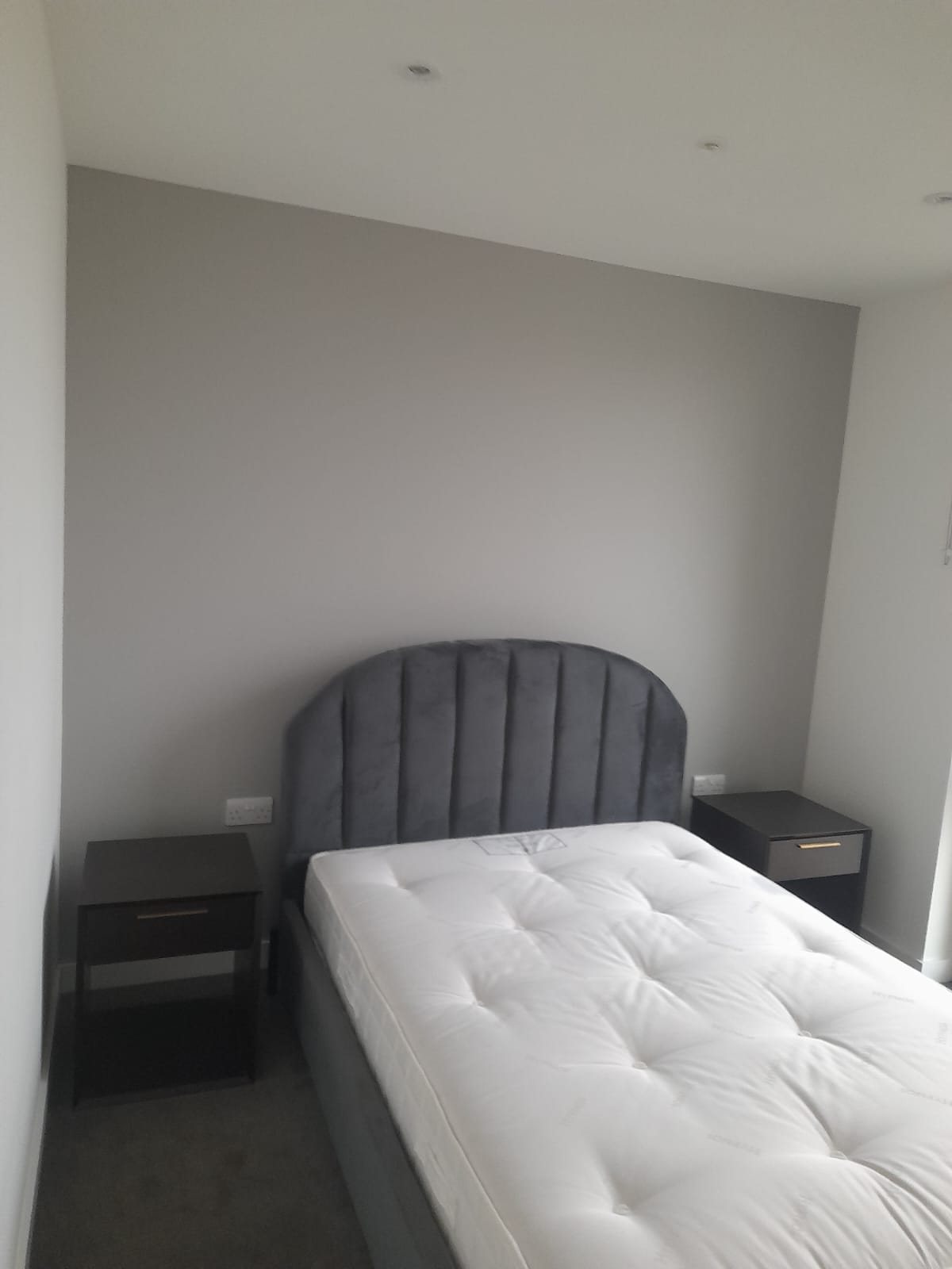 Finished bedroom with fresh walls and new carpet